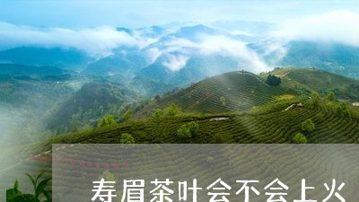 寿眉茶叶会不会上火/2023120449581