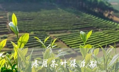 寿眉茶叶保质期/2023112571627