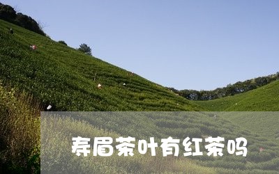 寿眉茶叶有红茶吗/2023062025372