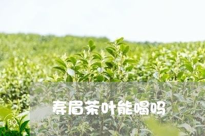 寿眉茶叶能喝吗/2023112461512