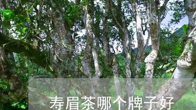 寿眉茶哪个牌子好/2023090841703