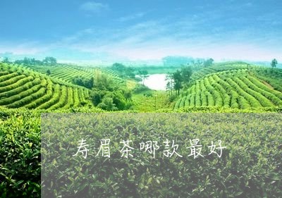 寿眉茶哪款最好/2023112571573