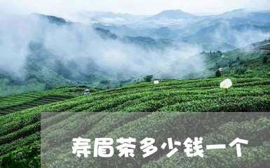 寿眉茶多少钱一个/2023090848170