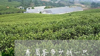 寿眉茶多少钱一只/2023090854247