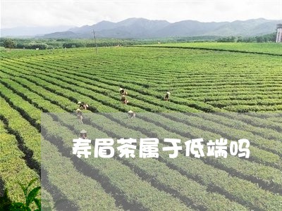 寿眉茶属于低端吗/2023062053247