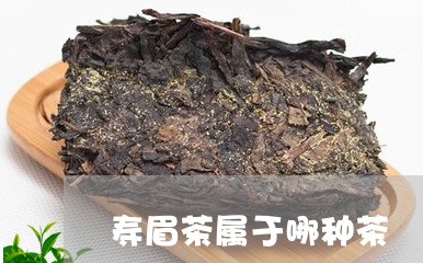 寿眉茶属于哪种茶/2023062079634