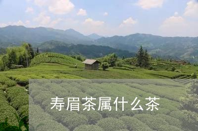 寿眉茶属什么茶/2023112491737