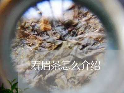 寿眉茶怎么介绍/2023112514049