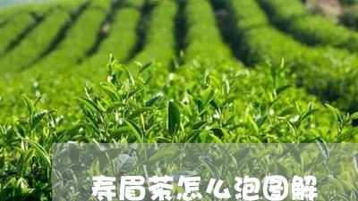 寿眉茶怎么泡图解/2023062031804