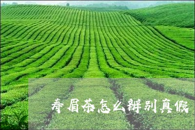 寿眉茶怎么辨别真假/2023120453858