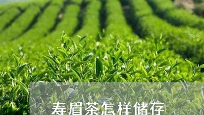 寿眉茶怎样储存/2023112451503