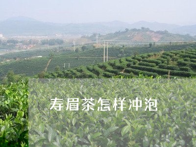 寿眉茶怎样冲泡/2023112465037