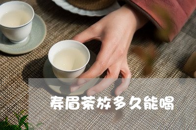 寿眉茶放多久能喝/2023062004038