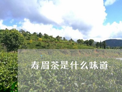 寿眉茶是什么味道/2023062003937