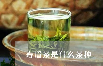 寿眉茶是什么茶种/2023062015370