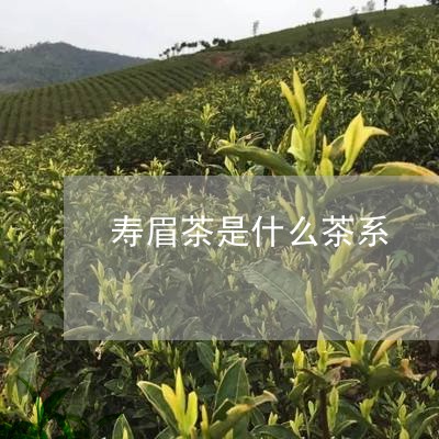 寿眉茶是什么茶系/2023090816071