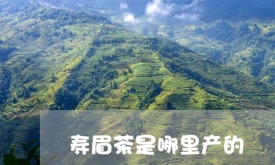 寿眉茶是哪里产的/2023090819270