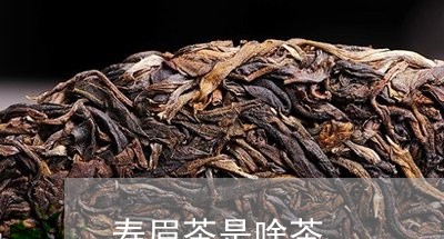 寿眉茶是啥茶/2023051296170