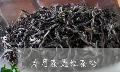 寿眉茶是红茶吗/2023112415164