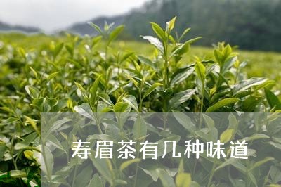 寿眉茶有几种味道/2023090826371