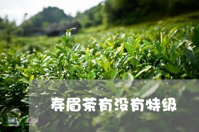 寿眉茶有没有特级/2023090865936