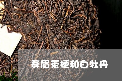 寿眉茶梗和白牡丹/2023062072794