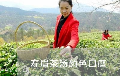 寿眉茶汤颜色口感/2023062078483