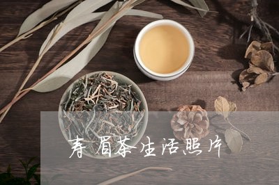 寿眉茶生活照片/2023112520583