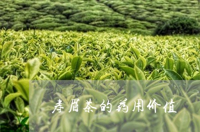 寿眉茶的药用价值/2023090841572