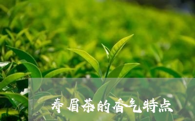 寿眉茶的香气特点/2023090893936