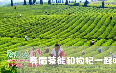 寿眉茶能和枸杞一起喝吗/2023092449591