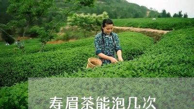 寿眉茶能泡几次/2023112445248