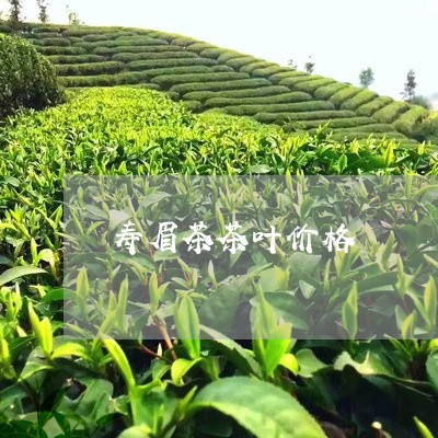 寿眉茶茶叶价格/2023112592924