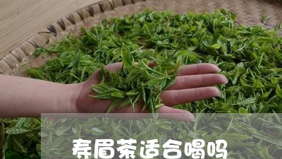 寿眉茶适合喝吗/2023112462514