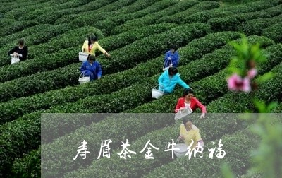 寿眉茶金牛纳福/2023112450582