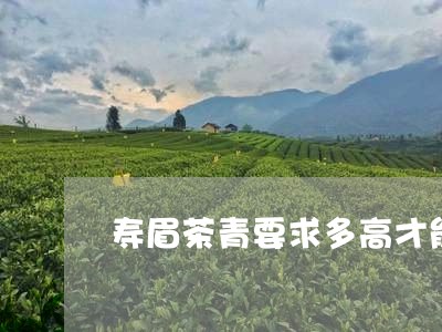 寿眉茶青要求多高才能喝/2023092425938