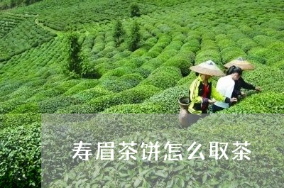 寿眉茶饼怎么取茶/2023090875039