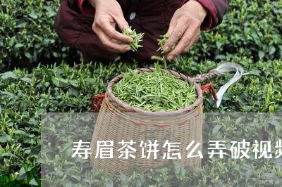 寿眉茶饼怎么弄破视频/2023100105826