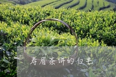 寿眉茶饼的白毛/2023112550472