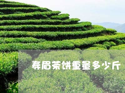 寿眉茶饼重量多少斤/2023120481706