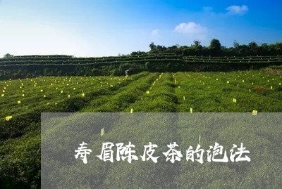 寿眉陈皮茶的泡法/2023090896240