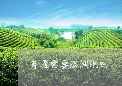 寿眉需要温润泡吗/2023062062636