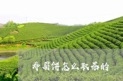 寿眉饼怎么取茶的/2023090890593