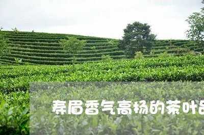 寿眉香气高扬的茶叶品牌/2023102563715