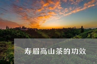 寿眉高山茶的功效/2023062052848