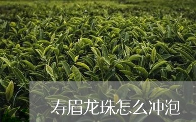 寿眉龙珠怎么冲泡/2023090863714