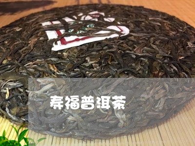 寿福普洱茶/2023081848582