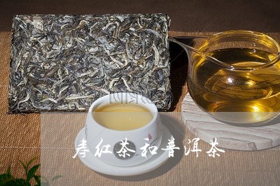 寿红茶和普洱茶/2023112633716