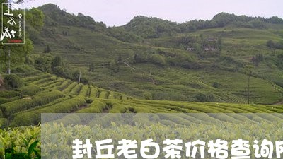 封丘老白茶价格查询网/2023100108503