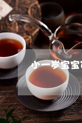 小一岁宝宝可以喝普洱茶吗/2023081547959